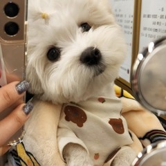 연방이