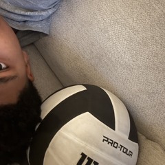 trezi