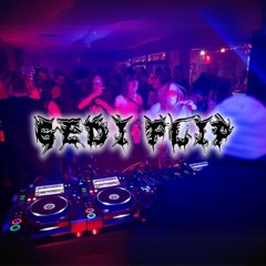 GEDI FLIP