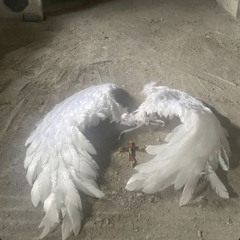 yuh