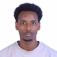 Habesha