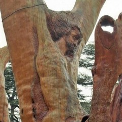 Treezus The 8th