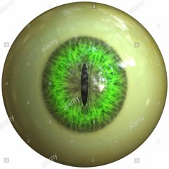 𝖘𝖑𝖆𝖙𝖙²⁹