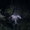 Corvo Grey