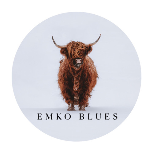 emkoblues.official’s avatar
