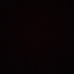 Shivani