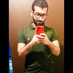 Hossam Elmogy