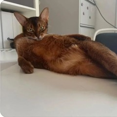 fabianeean