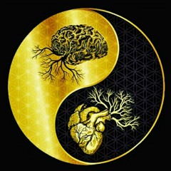 Mica'el 💠 מיקאל