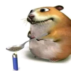 timo