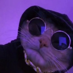 W1LL3R