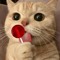 Suzzy Cherry