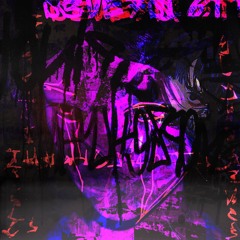 SXNVR