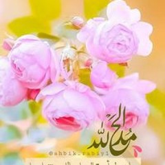 Eman Maher