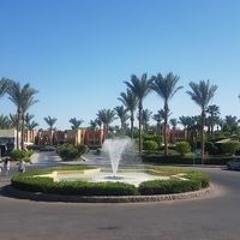 ادم ادم