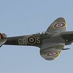 spitfire desstructo femelle