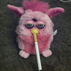 MILKBONG