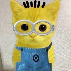 Сонечка