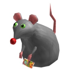 rat