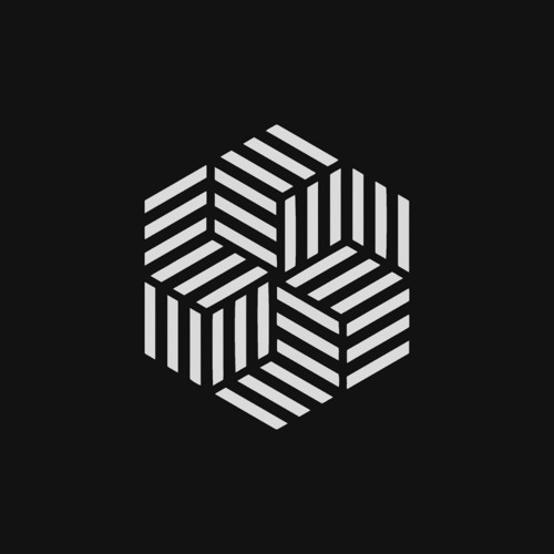 The Acid Mind Recordings | T.A.M.R artist photo