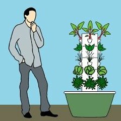 Cocovado to Lebenese Blond