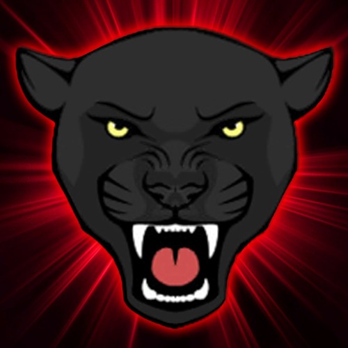 pantherslairs’s avatar