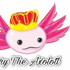 Axolotl