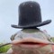 The Fish With Hat