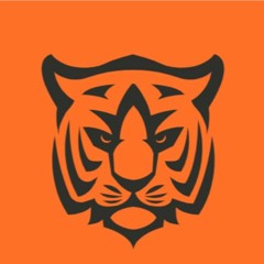 KOTYGER