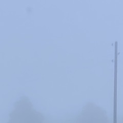 поцарапанные пули