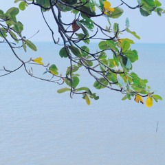 Hoàng Thu Vân