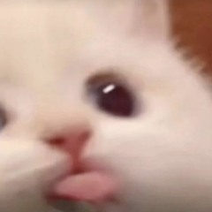 しんむ shinmu
