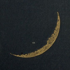 para-psychopathology