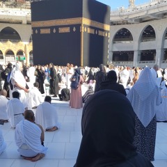 عمر الصعيدي