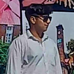 Hamid Raza