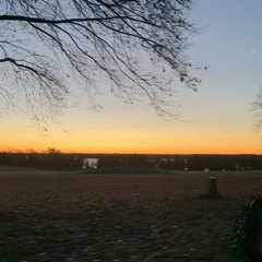 TikToks LOVE LIFE@obscurantal