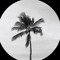 🌴