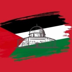 I love Palestine so much