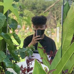 Nam Hoang