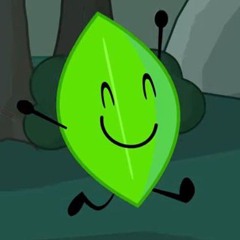 💚-NUMBER 1 LEAFY FAN-💚