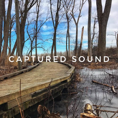 Captured Sound’s avatar