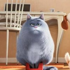 Kiếp-- Vương Vũ Đồng