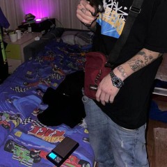 lilplug328228