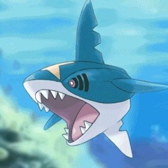 sharkie