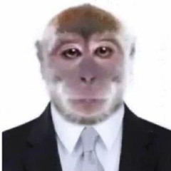 Leonardo