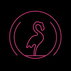 Flamingo After Dark