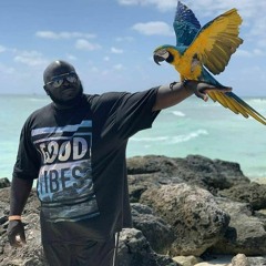 Jay's Life Out Loud (youtube)