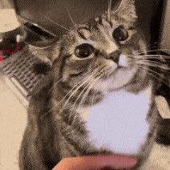 ?
