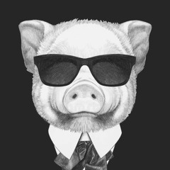 THE PIG OFFICIAL