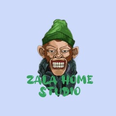 Zala Home STudio
